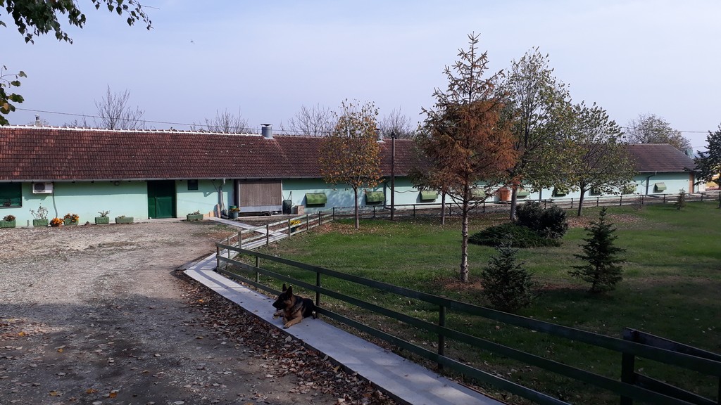 Živinarska farma 05