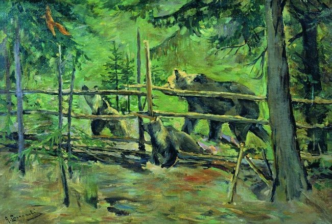 Ruski medved 16