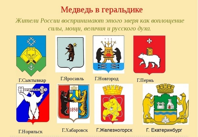 Ruski medved 17