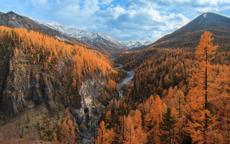 Priroda Sibira 3