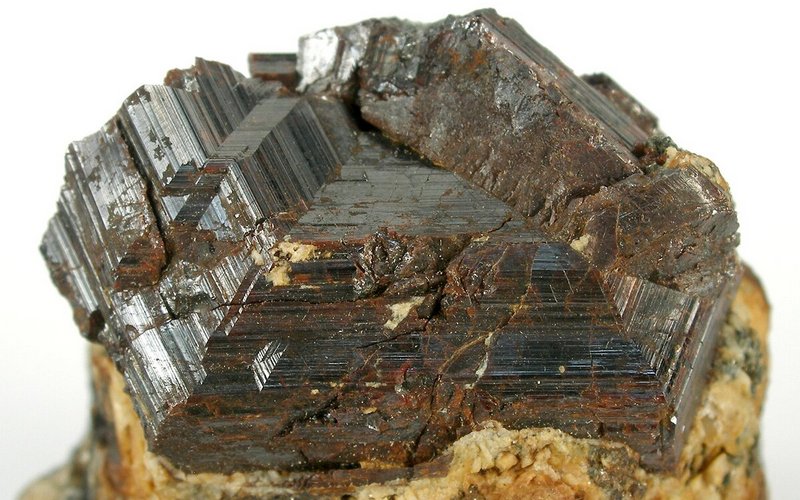 Prirodna bogatstva Sibira 8