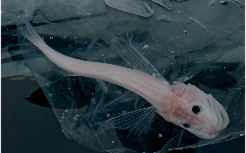 Bajkalsko jezero ili sibirska poezija 11